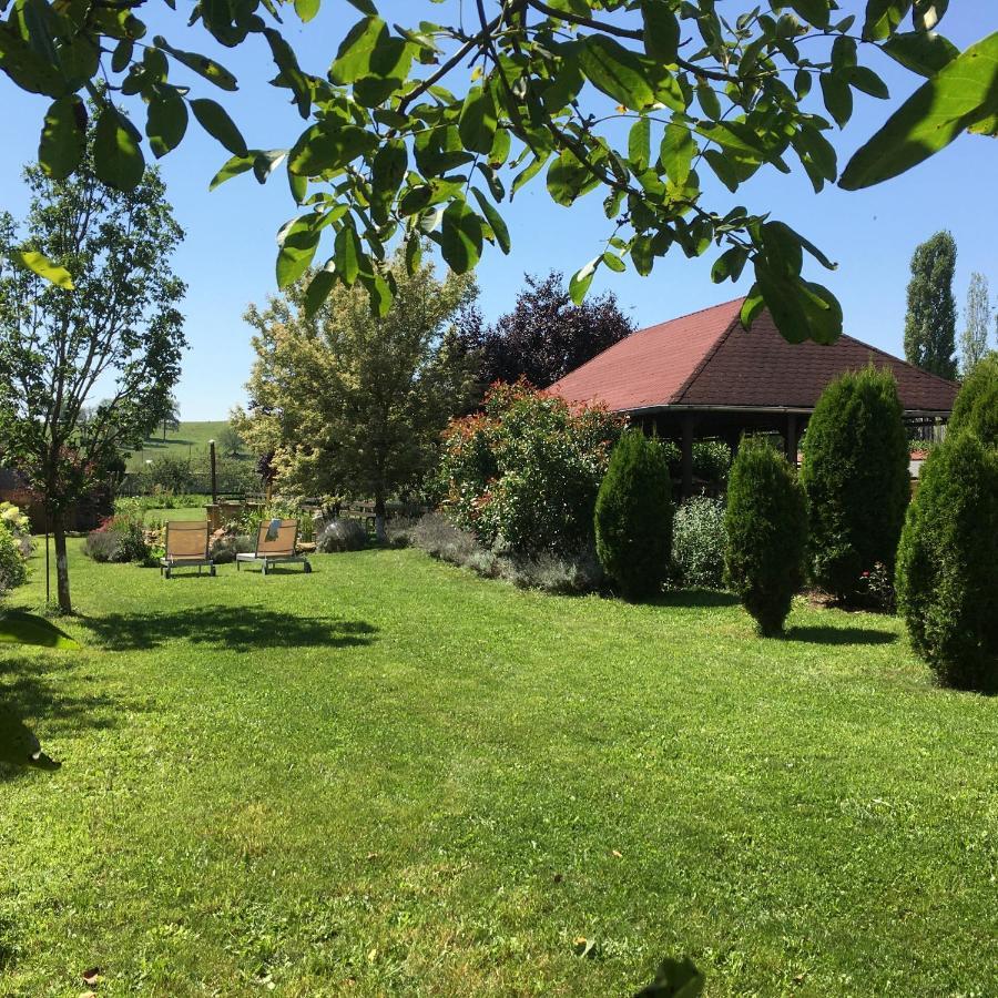 Domaine De La Mance - Maisonnette Avec Cheminee Vitrey-sur-Mance エクステリア 写真