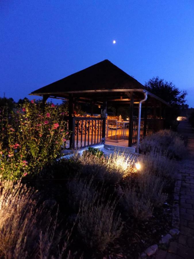 Domaine De La Mance - Maisonnette Avec Cheminee Vitrey-sur-Mance エクステリア 写真
