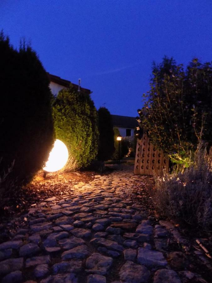 Domaine De La Mance - Maisonnette Avec Cheminee Vitrey-sur-Mance エクステリア 写真