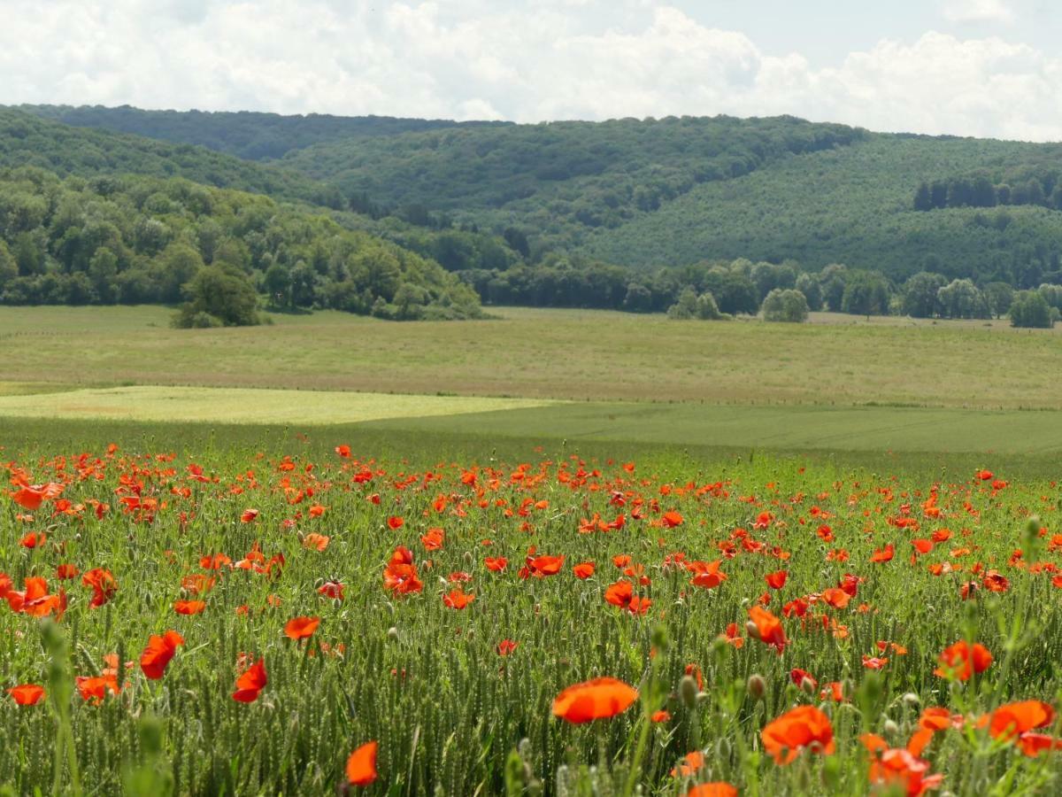 Domaine De La Mance - Maisonnette Avec Cheminee Vitrey-sur-Mance エクステリア 写真
